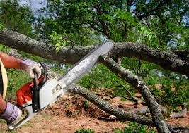 Best Hedge Trimming  in Adelanto, CA